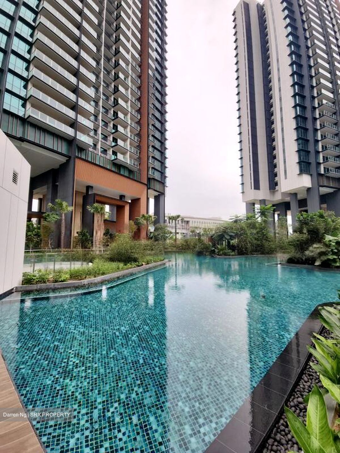 Normanton Park (D5), Apartment #460126881